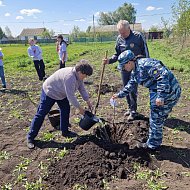 Новосельцы в честь защитников Отечества посадили молодые яблоньки