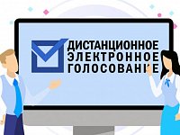 Избиратели Саратовской области смогут поучаствовать в тестировании платформы для дистанционного электронного голосования