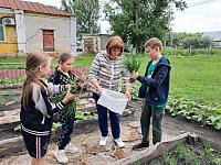 Комплексный центр социального обслуживания стал базой для сбора «посылок из дома»