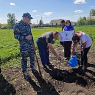 Новосельцы в честь защитников Отечества посадили молодые яблоньки