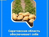 Саратовская область обеспечивает себя картофелем и овощами 