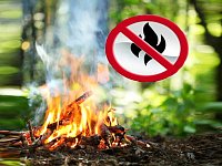 Аркадакское лесничество призывает жителей района не разжигать в лесу костры