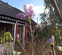 Осеннее небо явило аркадакцам радугу