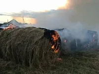 Сводка сентябрьских криминальных новостей в районе 