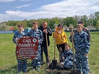 В Аркадакском районе скоро зацветут новые сады