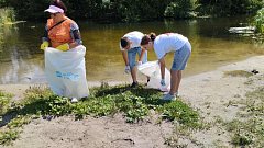 Добровольцы очистили километр побережья реки Большой Аркадак