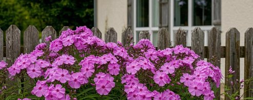  Пять сельских адресов красоты