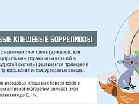 Пять вопросов о клещевом боррелиозе