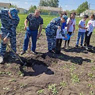 Новосельцы в честь защитников Отечества посадили молодые яблоньки