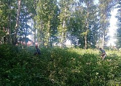 Пятница в Красном Знамени – санитарный день