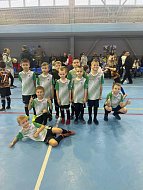 Аркадакские юные спортсмены приняли участие в межрайонном турнире по мини-футболу