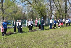 Аркадакские волонтёры "серебряного" возраста присоединились к акции "Сад Памяти"