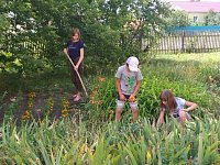 В Грачёвской школе и в летние каникулы продолжается трудовое воспитание детей