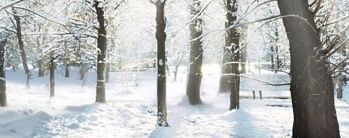 Выходные обещают аркадакцам кратковременное потепление и снег