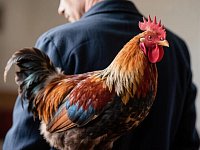 Госдума предложила Правительству скорректировать свое постановление