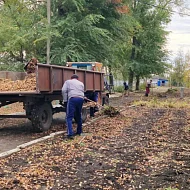 Новосельские школьники вышли на осенний субботник