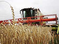 Земледельцы района убирают яровые зерновые культуры