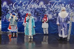 Аркадакцы выбрали лучших Деда Мороза и Снегурочку