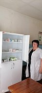 В селах Аркадакского района открыли еще шесть аптечных пунктов