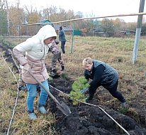 В селе Красное Знамя появилось ещё одно благоустроенное место