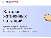 Саратовцы могут воспользоваться сервисом «Жизненная ситуация» для восстановления и замены документов