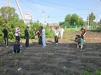 В школах Аркадакского района идёт летняя трудовая практика