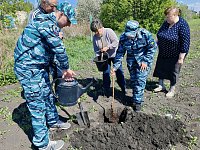 Новосельцы в честь защитников Отечества посадили молодые яблоньки