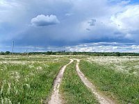 Аркадакцев на неделе ждёт потепление
