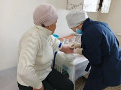 В Семёновке работала выездная бригада аркадакских медработников