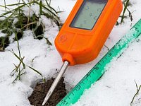 Озимые культуры в  Аркадакском районе успешно перенесли перезимовку