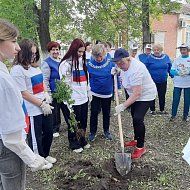 Аркадакские волонтеры приняли активное участие в акции "Сад. Связь поколений"