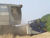 Аркадакские аграрии настроены собрать запланированный урожай зерновых культур