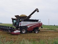 Земледельцы Аркадакского района завершают уборку озимых культур и приступают к севу озимых под урожай 2026 года