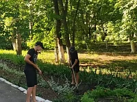 Во время летних каникул в Аркадакском районе временно работали 142 подростка