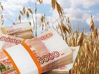 Четырнадцать сельхозпредприятий района получат компенсационную субсидию от государства за прошлый сельскохозяйственный год
