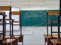 Две школы Аркадакского района закрываются на карантин на неделю