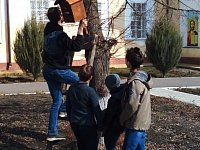 Аркадакские ребята  развесили на деревья  возле храма скворечники