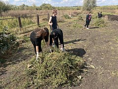 В Аркадаке студенты-волонтёры провели трудовой десант