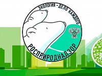Юных саратовцев приглашают к участию в экопремии «Экология – дело каждого»  