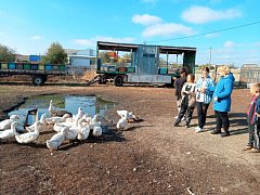 Аркадакские школьники узнали секреты успешного фермерства 