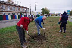 По инициативе депутата облдумы Василия Кравцова  в Аркадаке заложили липовую аллею 