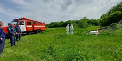 Учения по борьбе с африканской чумой свиней прошли в Аркадаке