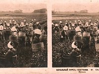 Аркадакские экспонаты - на юбилейной выставке областного музея краеведения