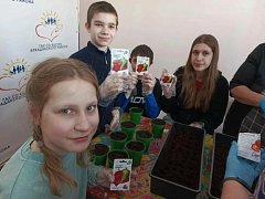 В Аркадакском районе стартовала благотворительная акция «Курьеры добра»