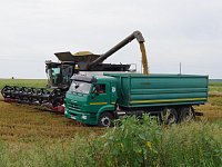 Аркадакцы собрали свыше 100 тысяч тонн зерна нового урожая