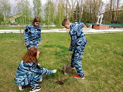 В эти погожие апрельские дни в сёлах Аркадакского района проходит акция "Сад памяти"