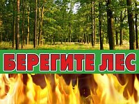 Противопожарная кампания «Останови огонь!» призывает беречь лесные ресурсы страны
